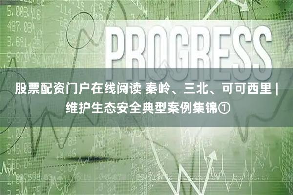 股票配资门户在线阅读 秦岭、三北、可可西里 | 维护生态安全典型案例集锦①