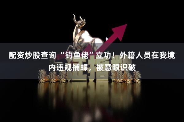 配资炒股查询 “钓鱼佬”立功！外籍人员在我境内违规捕蝶，被慧眼识破